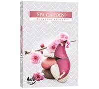Bispol dcen Ted Tealights SPA Garden 6P.