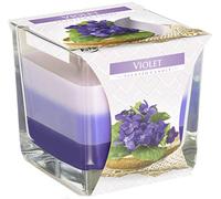 Bispol - Vela aromática de cristal cuadrado (32 horas), aroma de flor morada