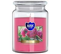BISPOL Vela perfumada grande en tarro con tapa, 100 horas de combustión, diámetro 9,9 cm y altura 14 cm, aroma PEONY