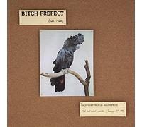 Bitch Prefect - Bird Nerds [VINYL] [Vinilo]