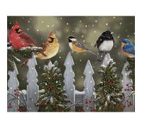 Bits and Pieces - Rompecabezas de 300 piezas grandes para adultos - Aves perca invernales en la nieve - por el artista William Vanderdasson - Rom