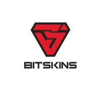 BitSkins Wallet Card 100 USD Key GLOBAL