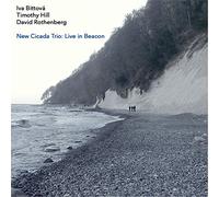 Bittova, Iva / Hill, Timothy / Rothenberg, David - New Cicada Trio: Live In Beacon
