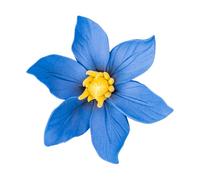 BIUDECO Adorno de Pared Floral 3d de Cerámica Clemátide, Decoración Artística en Color Azul, Tamaño Mediano, para Colgar en Dormitorio, Baño y Espacio Comercial, Decoración Mural Elegante