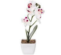 BIUDECO Orquídea Artificial Phalaenopsis con Maceta Realista Bonsái Decorativo para Hogar Oficina y Eventos Flor Falsa de Alta Resistencia y Aspecto Natural