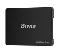 BIWIN SATA 6.3 cm M100 512GB
