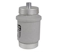 BIWTS DIV DZ GF INSERTO DE FUSIÓN RÁPIDO 100A R1 1/4 002314102