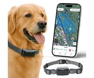 Bixar Viva Plus - Rastreador GPS 4G Perro sin Suscripción a Pagar | 12 Meses Incluido | Ubicación Precisa | Anti-Fugas | Vibración y Tono | Seguimiento de Actividad | IP67 | Autonomía 15 Días