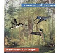 Bizarre Love Triangle [Vinilo]