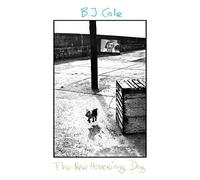 B.J. Cole The New Hovering Dog (Vinyl) 12" Album (Importación USA)