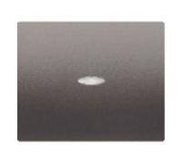 Bjc - 18705-anl tecla interr./conm./cruzamiento acero neptuno Ref. 6531030400