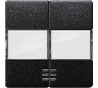 Bjc delta i-sys color - Tecla doble rotativo +visor instalación eib carbono metalizado