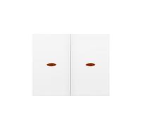 BJC Iris Tecla Doble Interruptor Conmutador Blanco 18709