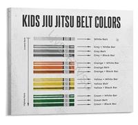 BJJ Belt Progression Chart Poster All Belt Colors And Ranks In Brazilian Jiu Jitsu For Training Motivation Gift(Unframed,16x24inch(40x60cm))