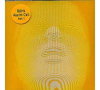Björk - Alarm Call Part 1 / 3 Remix