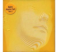 Björk - Alarm Call Part 3 / 3 Remix