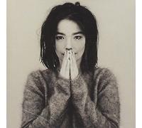 Björk - Début