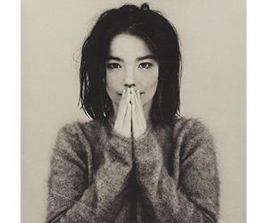 Björk - Début
