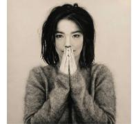 Bjrk - Debut