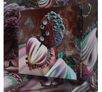 Bjork - Fossora [Vinilo]
