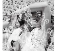 Björk – Vespertine – Vinilo – Importación USA