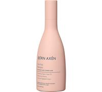 Björn Axén Collection Anti-Frizz Shampoo 250 ml
