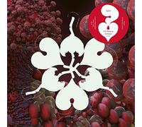 Bjork - Fossora Remixes [Vinilo]