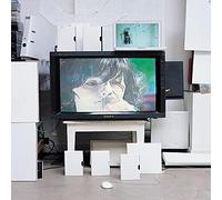 Bjork - Later with Jools Holland