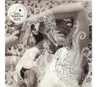 Bjork - Vespertine