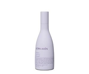 BJORN AXEN Champú voluminizador, 250 ml, añadir volumen y cuerpo con fórmula especial de minerales marinos y proteínas, volumen para cabello fino