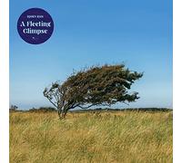 Bjorn Riis - A Fleeting Glimpse (Blue Vinyl) [Vinilo]