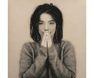 Bjrk - Debut