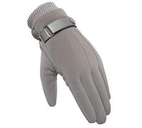 BJTYHT Guantes Guantes de algodón del Invierno de los Hombres Calientes del Espesamiento además de Terciopelo Guantes de la Pantalla táctil (Color : Gray, Size : One Size)