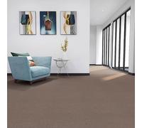 BK&MF 4 Losetas de Alfombra comerciales, 1㎡ alfombras Autoadhesivas, alfombras cuadradas ignífugas e Impermeables para Oficina, Dormitorio y salón,A01,4PCS 50x50cm(20x20inch)