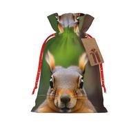 BKDODKS Bolsas de regalo de Navidad, con estampado de ardilla, etiquetas de regalo de Navidad con cinta para dulces y fiestas de Navidad