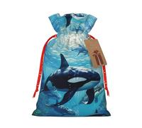 BKDODKS Bolsas de regalo de Navidad con etiquetas de cinta para dulces y fiestas de Navidad