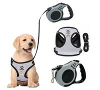 BKEPDY Arnes Transpirable para Gatos y Perros Reflectante Arnes Gato Pequeño Antiescape Chaleco de Gato Correa Perro Extensible para Caminar Entrenar (M)
