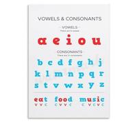 BKGWCSOR Alphabet Vowels Consonants Poster Letter Sound Guide for Preschool Kindergarten Reading Readiness(Framed,08x12inch(20x30cm))