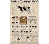 BKGWCSOR Bovine Anatomy Educational Poster Metal Sign for Dairy Farming Vintage Cow Parts and Milking Systems Chart Farm Wall-Art 8 X 12 in