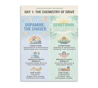 BKGWCSOR Dopamine Serotonin Neurotransmitters Chart Neuroscience Poster Brain Chemical Pathway Biology Classroom Wall-Art(Framed,12x18inch(30x45cm))