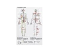 BKGWCSOR Holistic Health Chart Metal Tin Sign Traditional Chinese Medicine Meridians And Acupuncture Points Five Elements Theory Educational Body Map 8 X 12 in