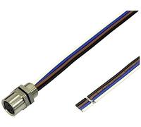 BKL Electronic 2701007 Sensor/Aktor Einbaubuchse M8 0.2m Polzahl: 4 1St.