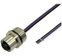 BKL Electronic 2703010 Sensor/Aktor Einbaubuchse M12 0.5m Polzahl Sensoren: 4 1St.
