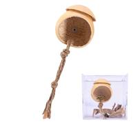Bkljkf Terrario de arañas de salto, jaula de araña de saltar hecha a mano con ventosa, accesorios de madera para reptiles con ventosa para paisajismo y decoración