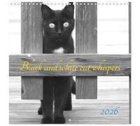 Black and white cat whispers (Wall Calendar 2026 12" x 24" / 30 x 60 cm (abierto)) CALVENDO 12 Month Wall Calendar