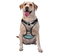 Black and White Line Art - Arnés prémium para perros pequeños, medianos y grandes, duradero, sin tirones, con correas reflectantes y hebillas de liberación rápida, grande
