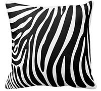 Black and White Zebra Print Stripes Animal Print Throw Pillow Case Decor Cushion Cover 18x18 Inch Square Two Sides