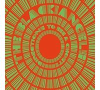 Black Angels,the - Directions To See A Ghost [Vinilo]