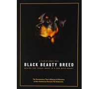 Black Beauty Breed [USA] [DVD]
