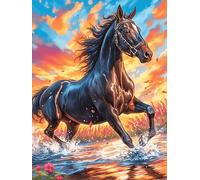 Black Caballo galopando al Atardecer Puzzles 1000 Piezas DIY Creativo Animal Salvaje Mascota Cute Rompecabezas Familiar para Toda La Familia Juguete Educativo Aliviar Estrés Decorativo 1000 PCS